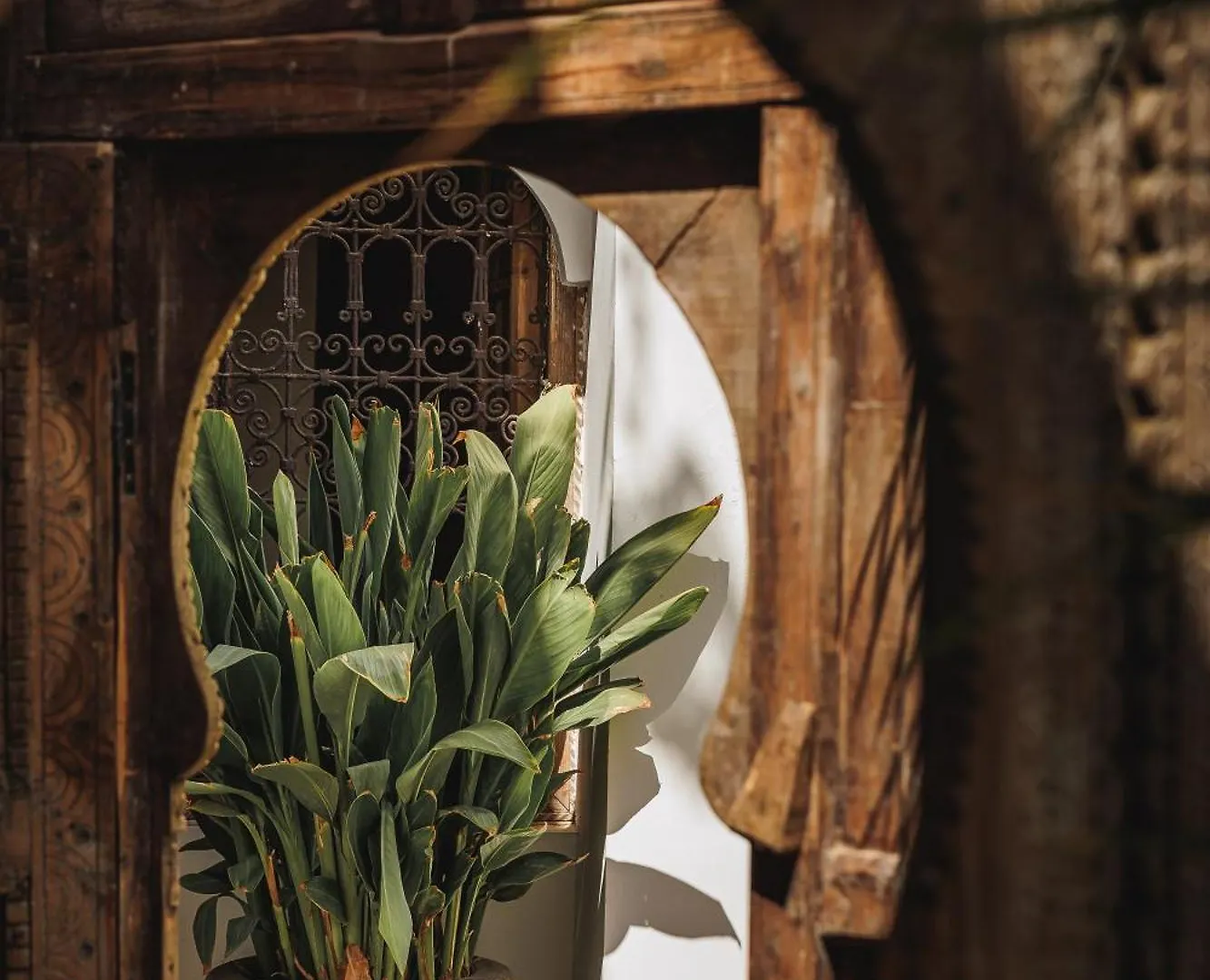 Riad Alkemia en exclusivité Marrakesh 0*,